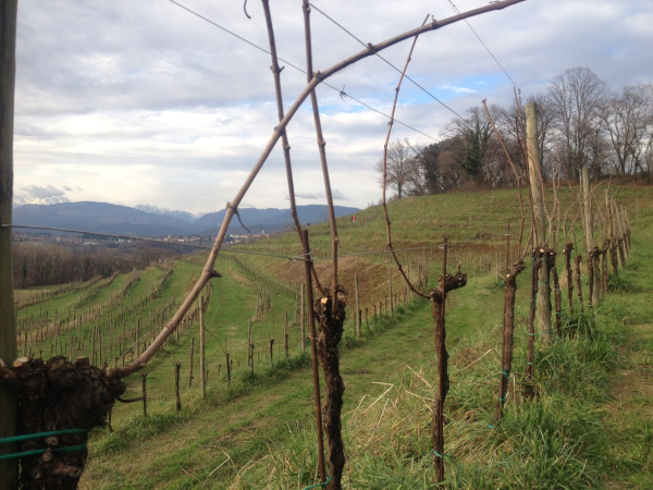 L'inverno volge al termine - Promozione di Marzo